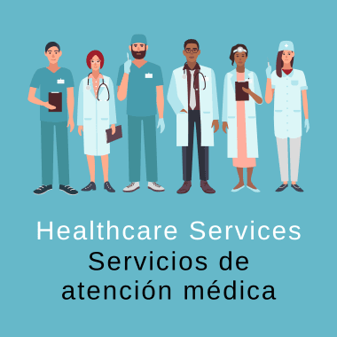 Health Care Services Icon