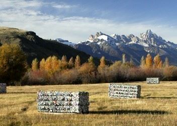 teton bales 1