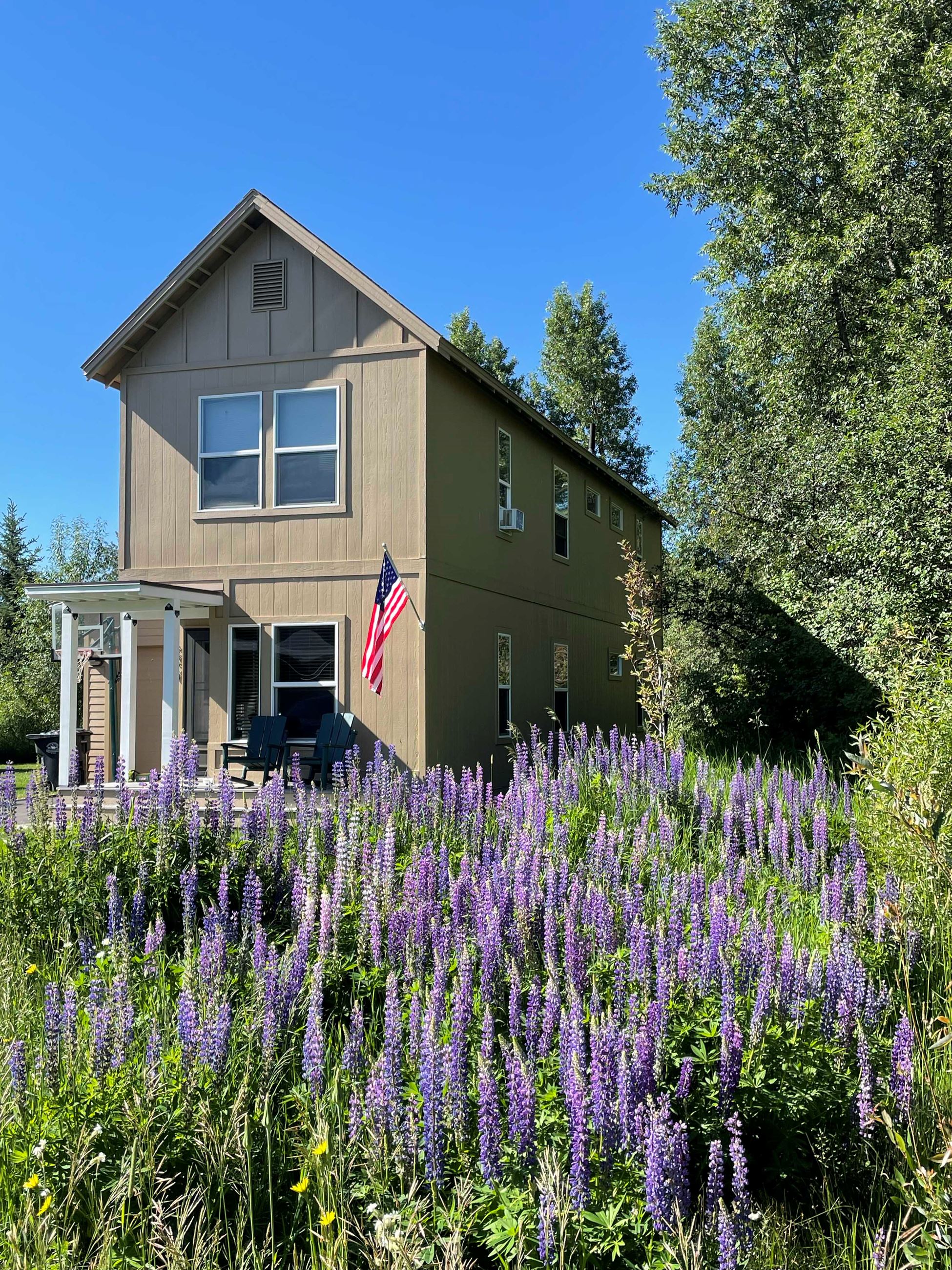 Exterior House Exterior House