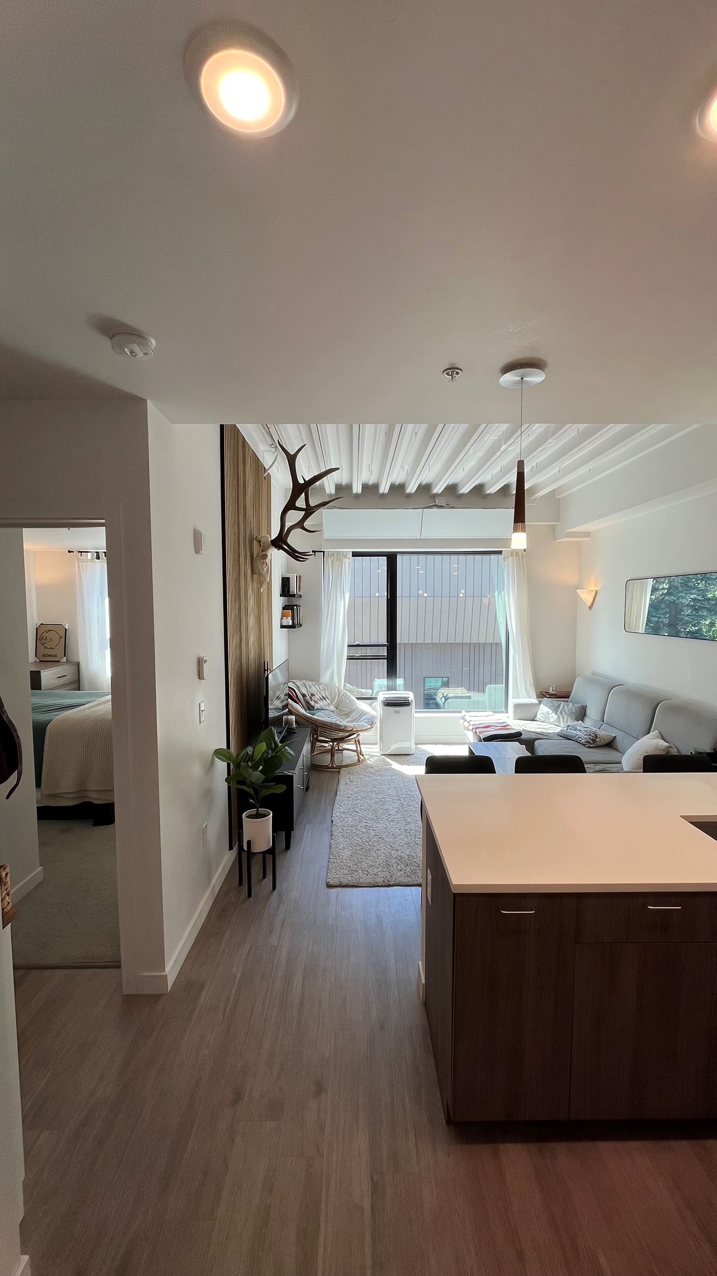 living room living room